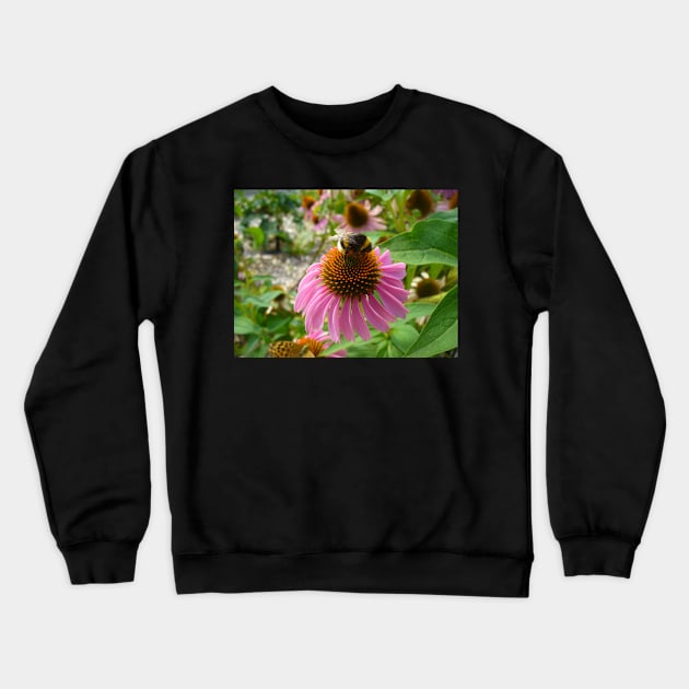 Bumble Bee on Echinacea Crewneck Sweatshirt by KaSaPo